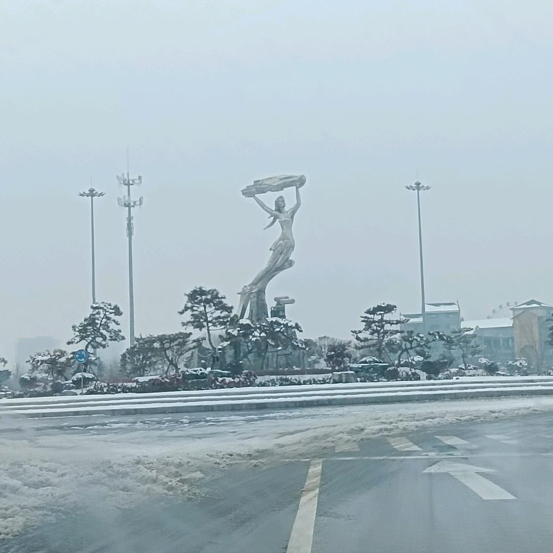 豫美家防火板李