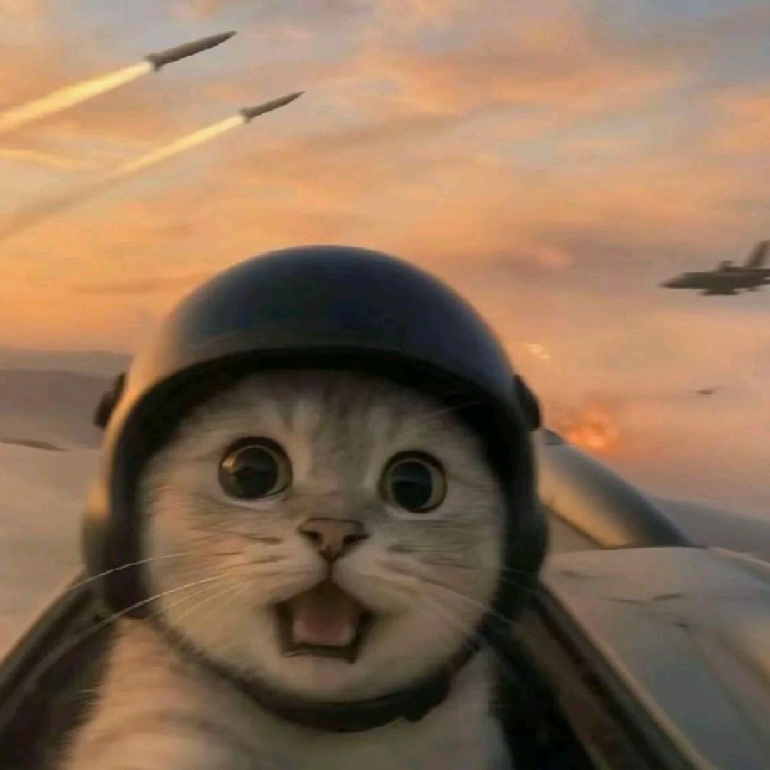 喜欢小猫( •̥́ ˍ •̀ू )