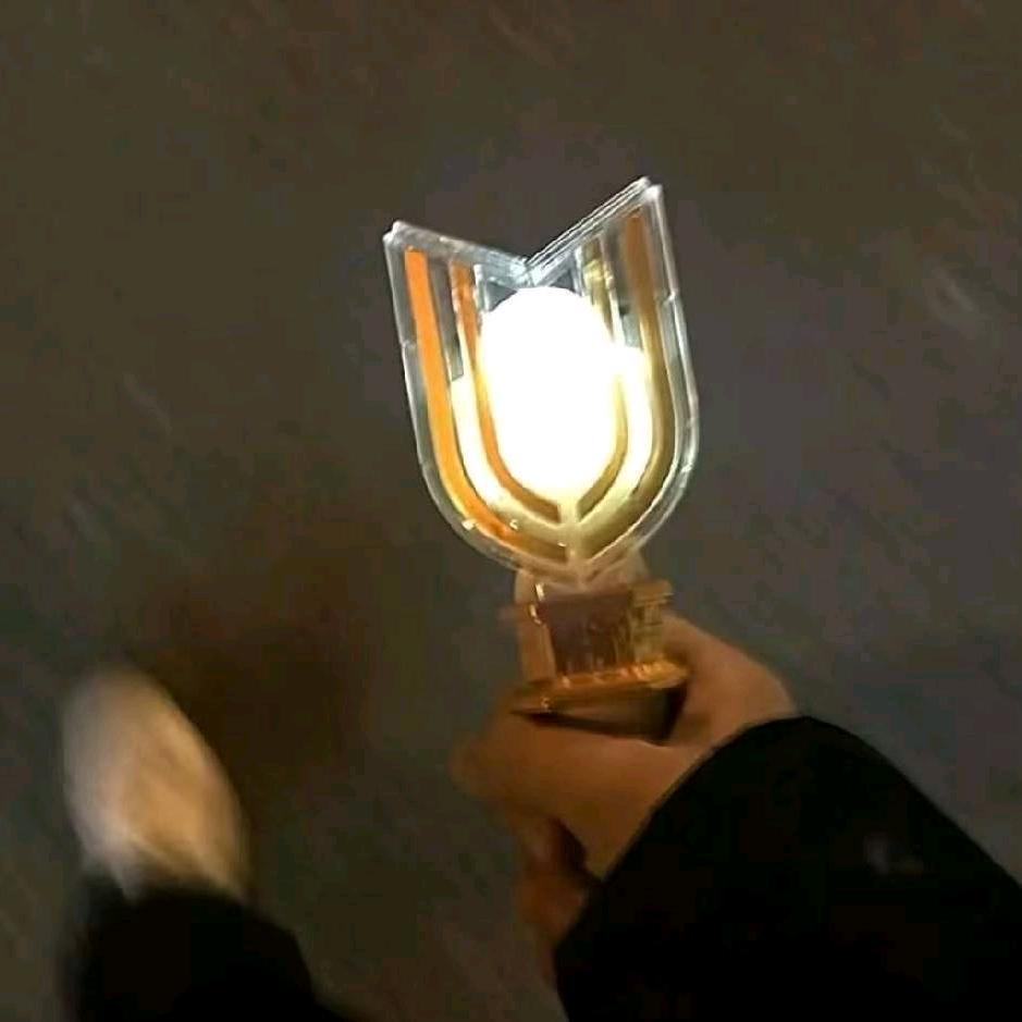 我以为是规则