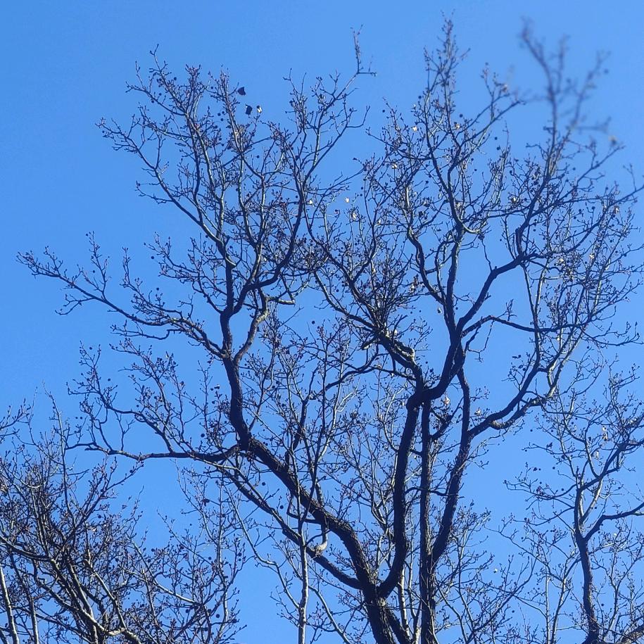 静好(◡‿◡✿)🌙