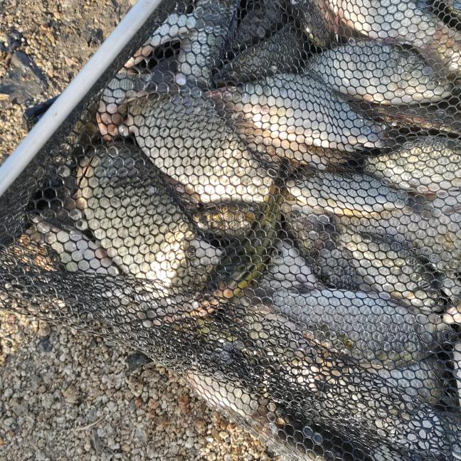 野钓门🐠小哥