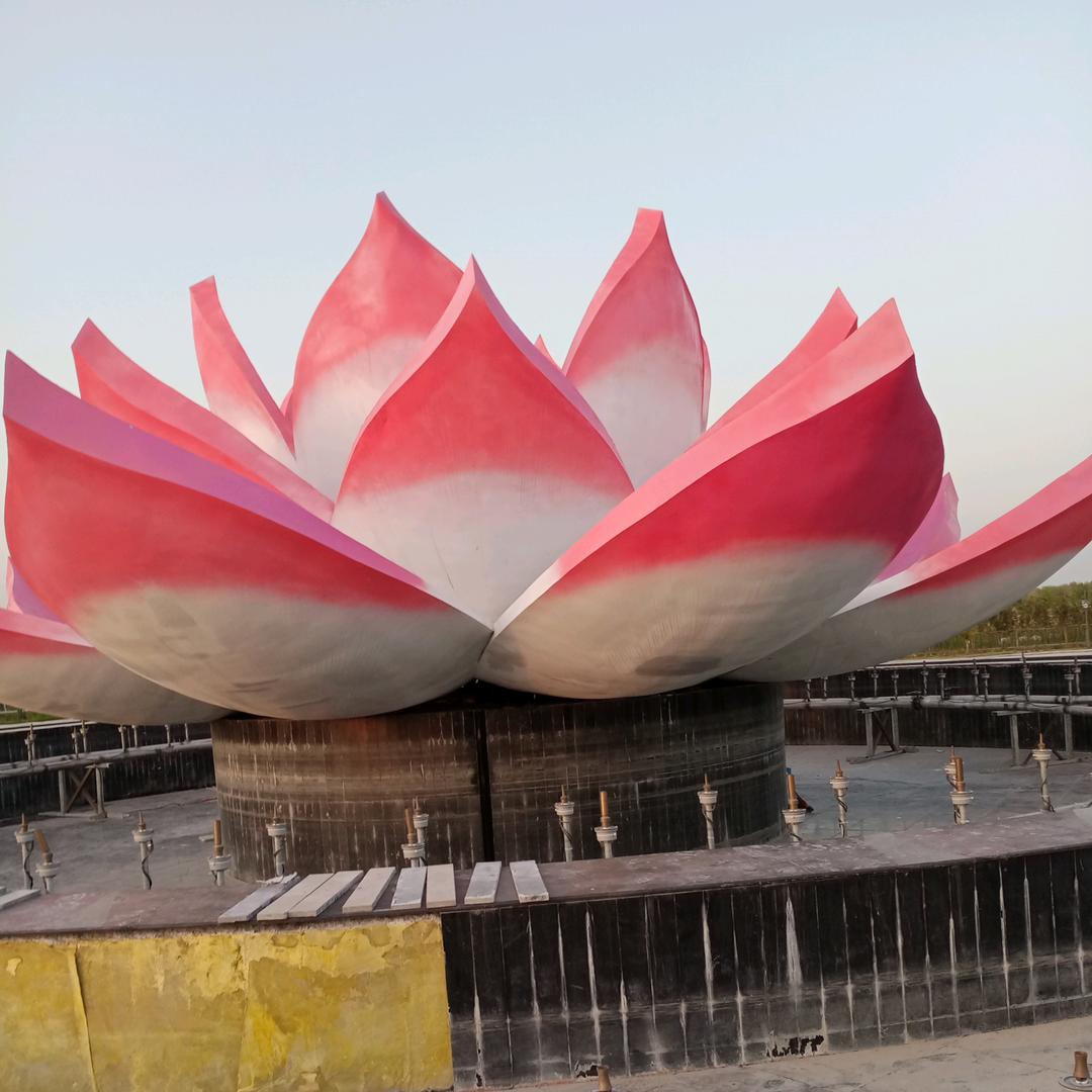 👩🏻‍🌾白莲花