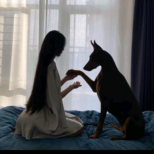 奶茶小宝，看简介