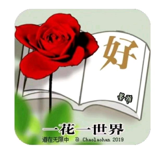 墨菊
