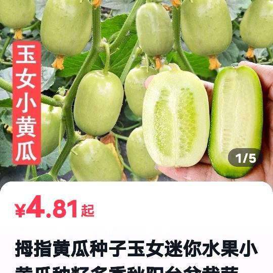 老张