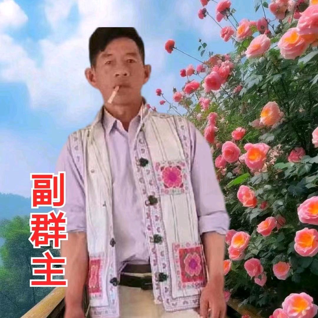 单身贵族