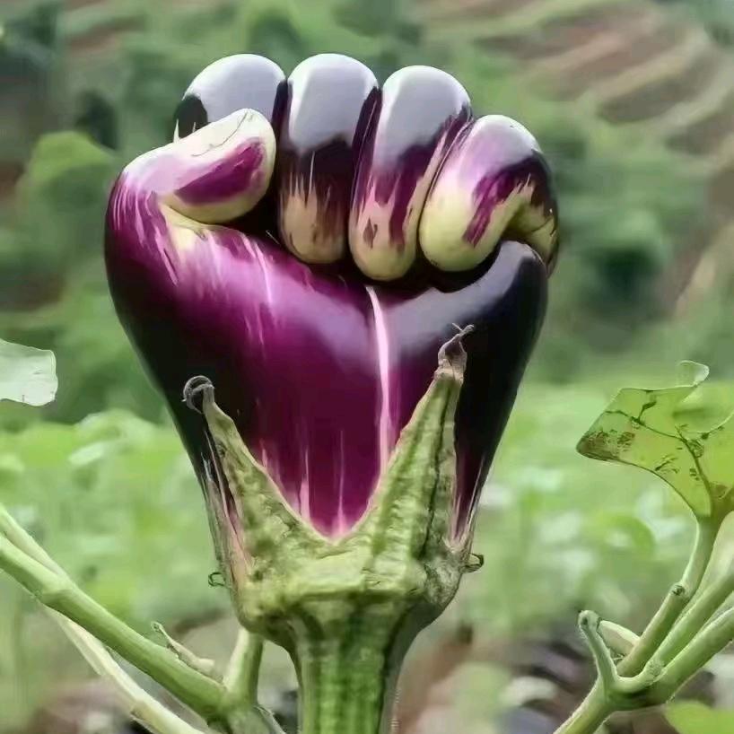 4宝👻笼