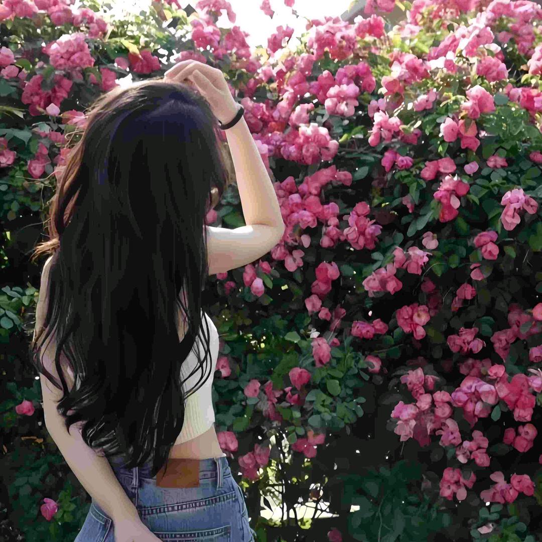 朦朦