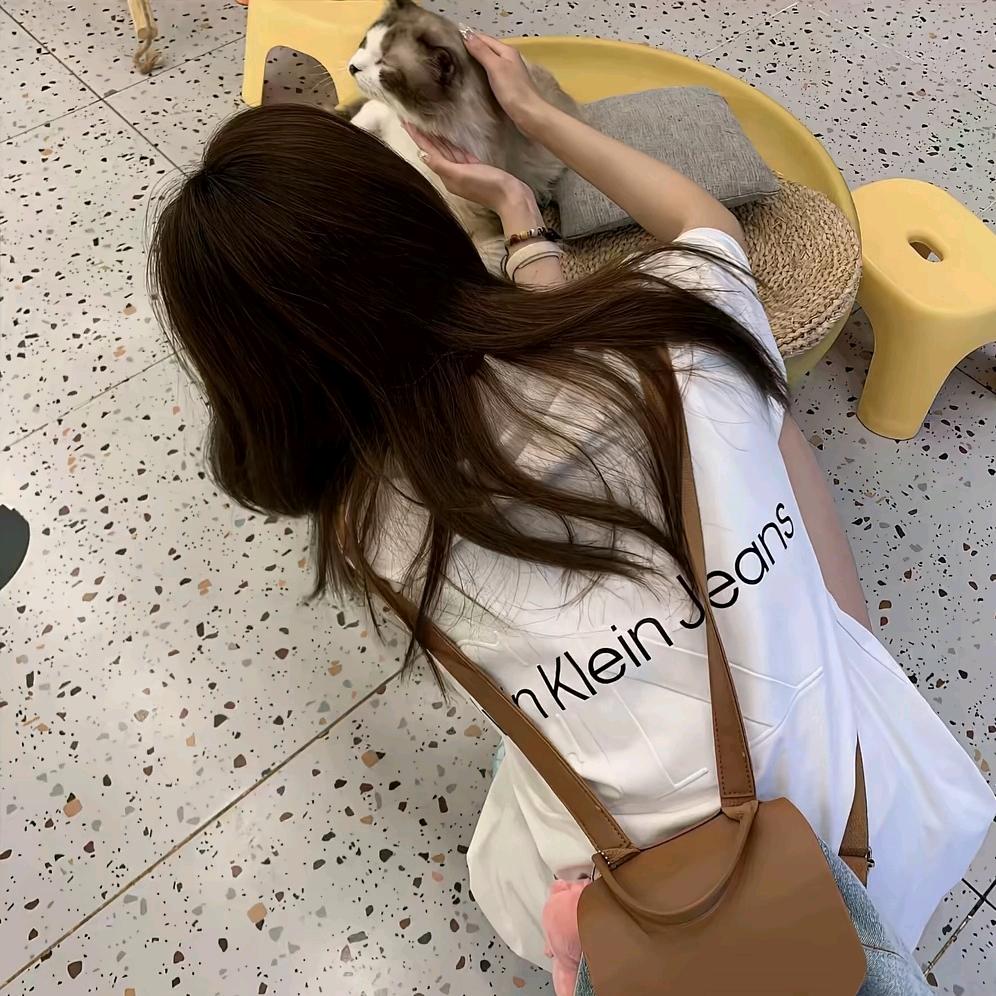 @曲珍