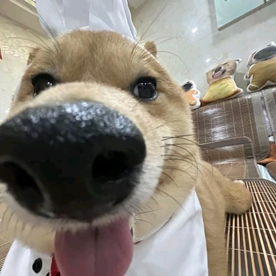 无敌炫酷寄寄爆