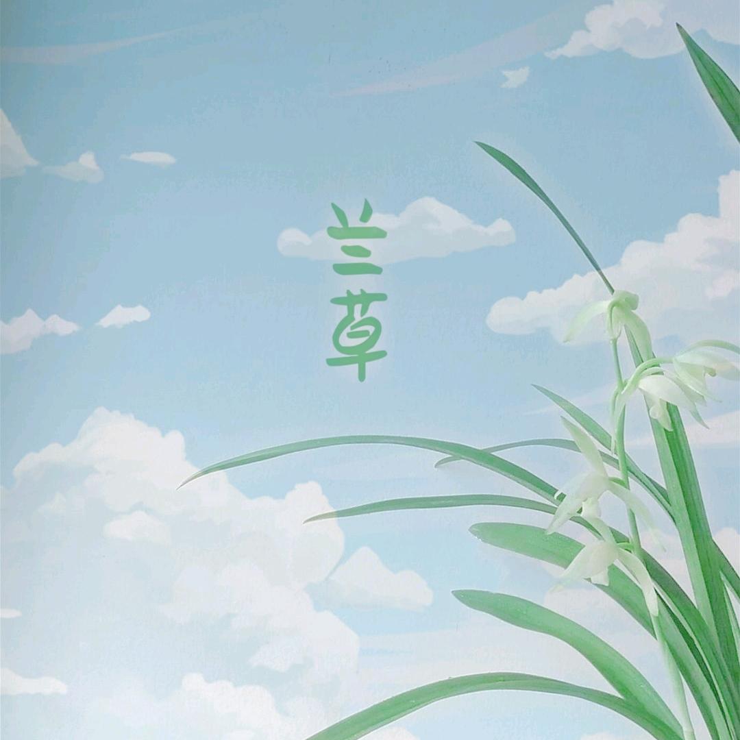 含羞阁