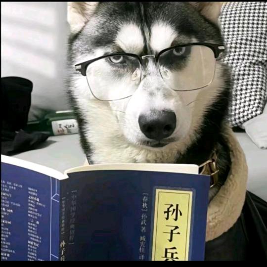 七哥潮玩