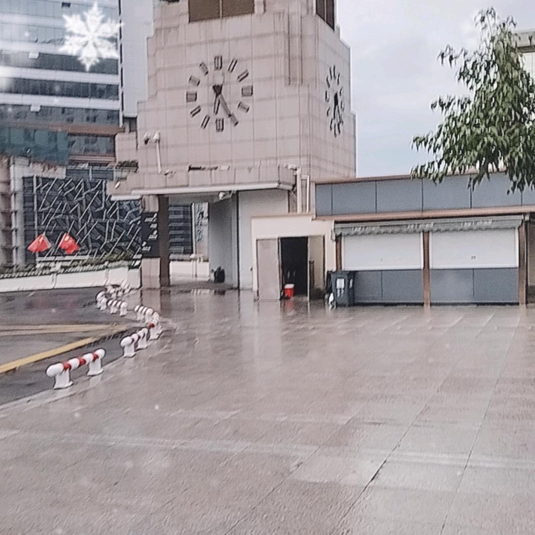 唯美的缘分