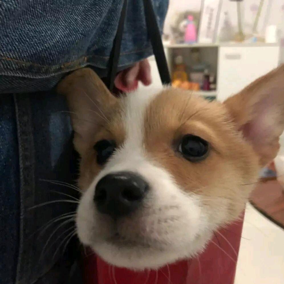 寄相思