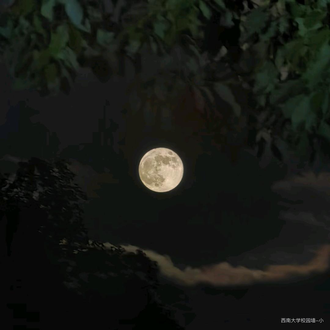 砰砰砰