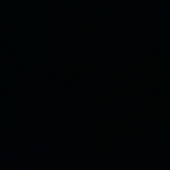 女王@家