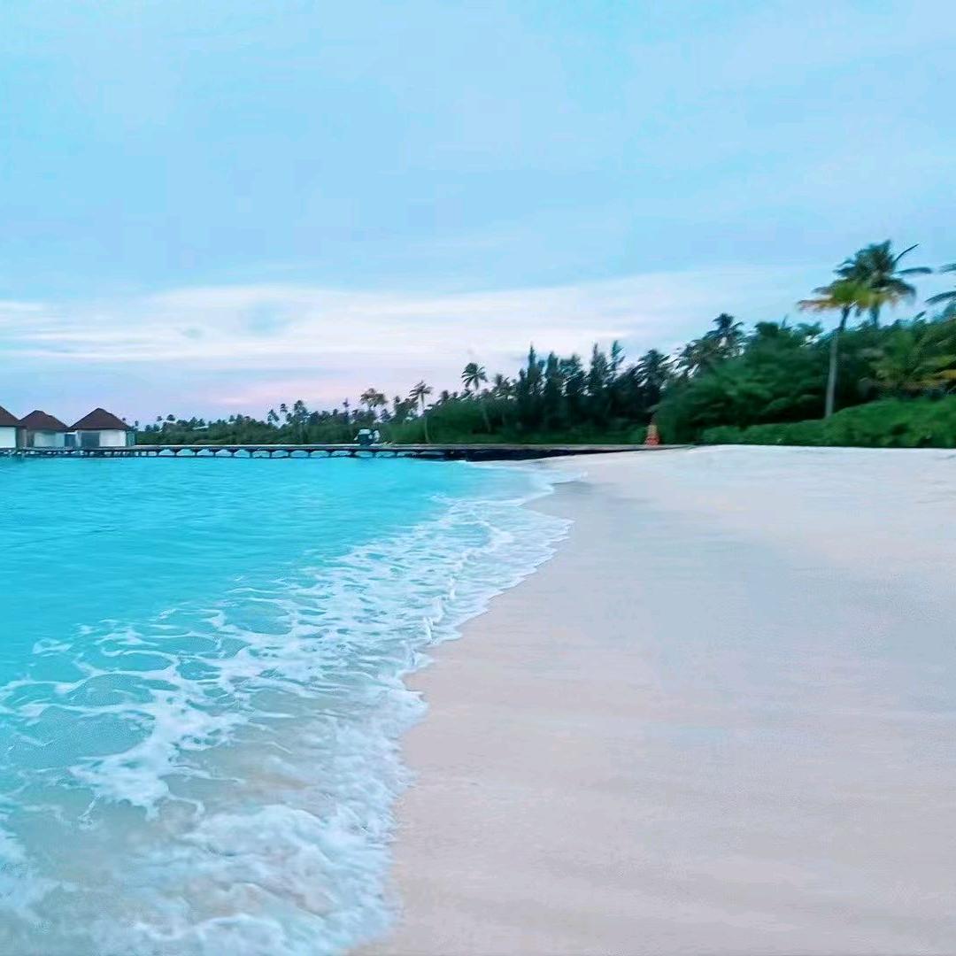 换一次盆落一粒沙