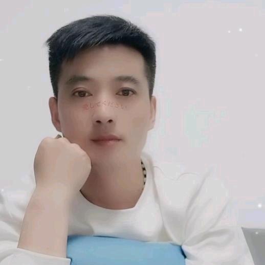 南照姚飞清真牛羊批发肉