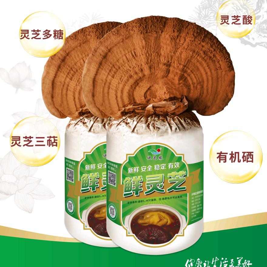 健芝缘灵芝水口店