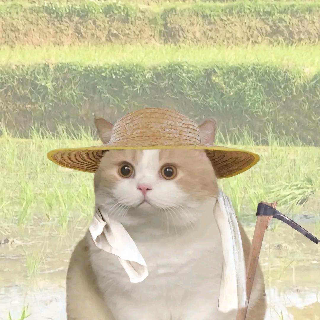 生生🌾