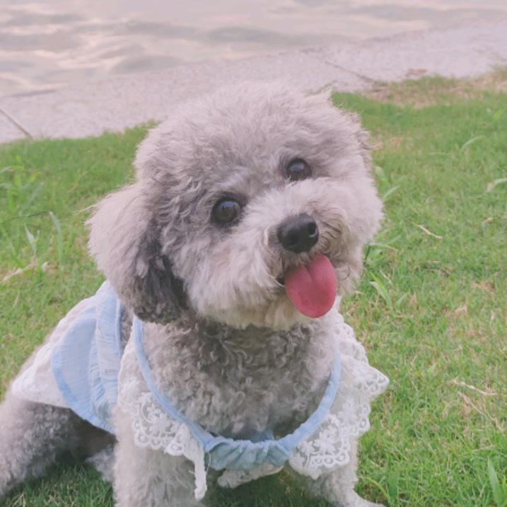 开心治愈不开心