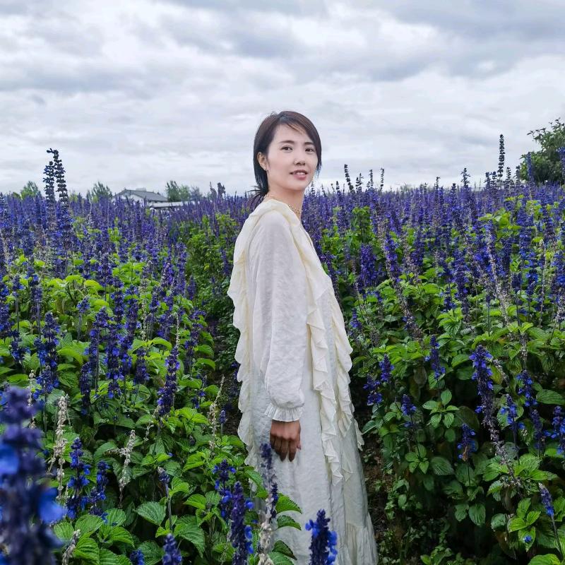 6嫂小儿芝士