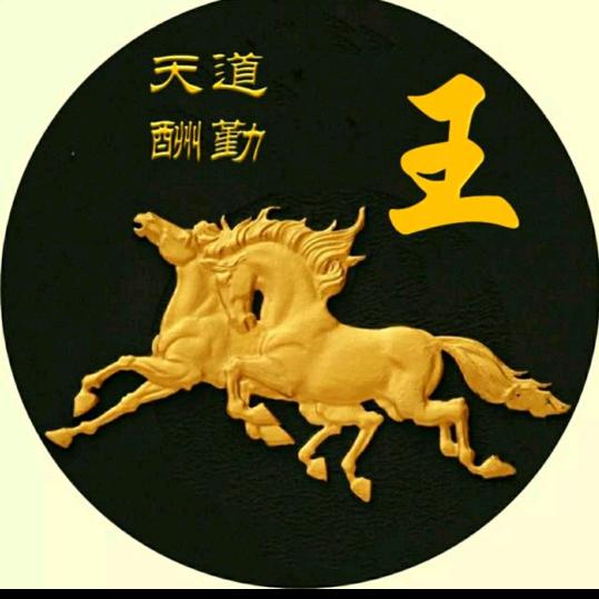 为你而歌