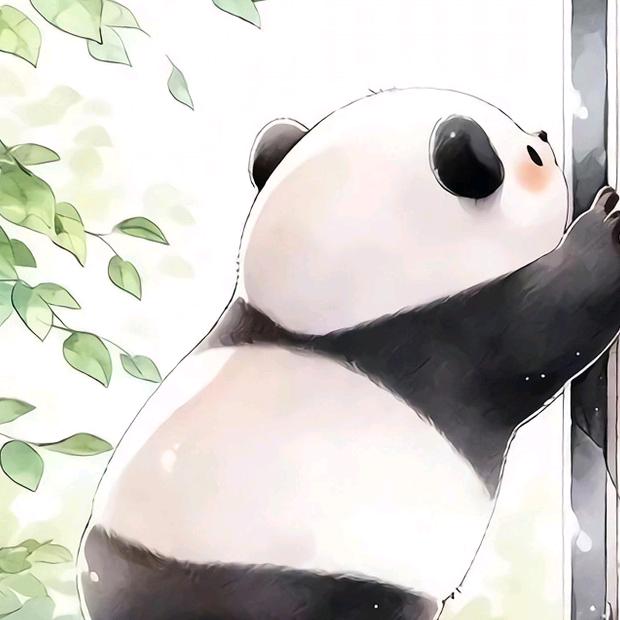 柚子皮