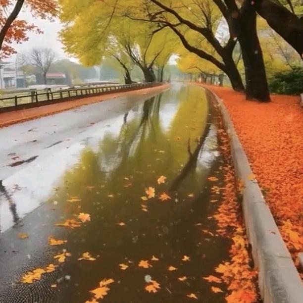 🍎王中王¹⁺¹🌿