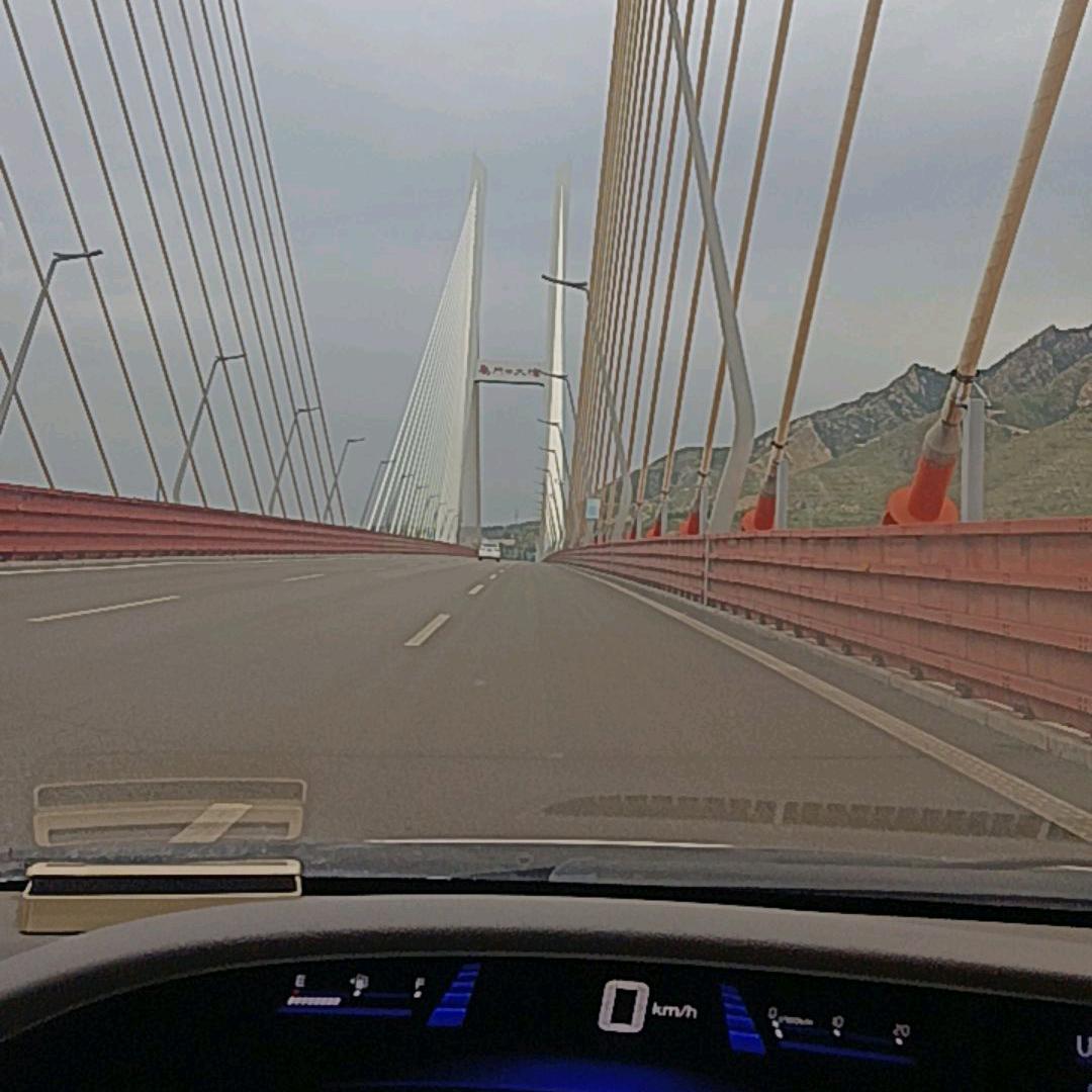 🌻🌷🌷桃🌷🌷🌻