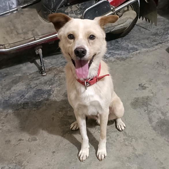 @一瓶脉动༊＂（大数据）