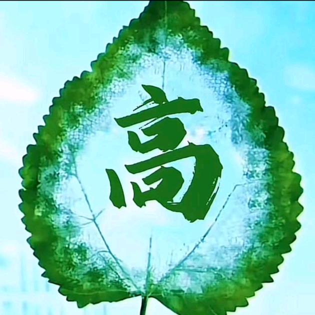 老高爱外贸