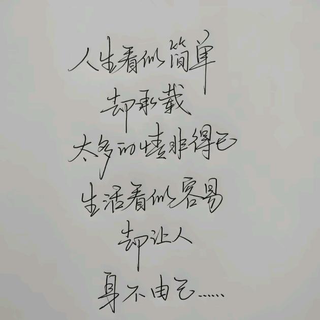 凌云 (车业)