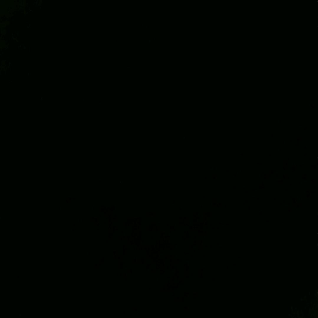 命苦四队跑刀仔