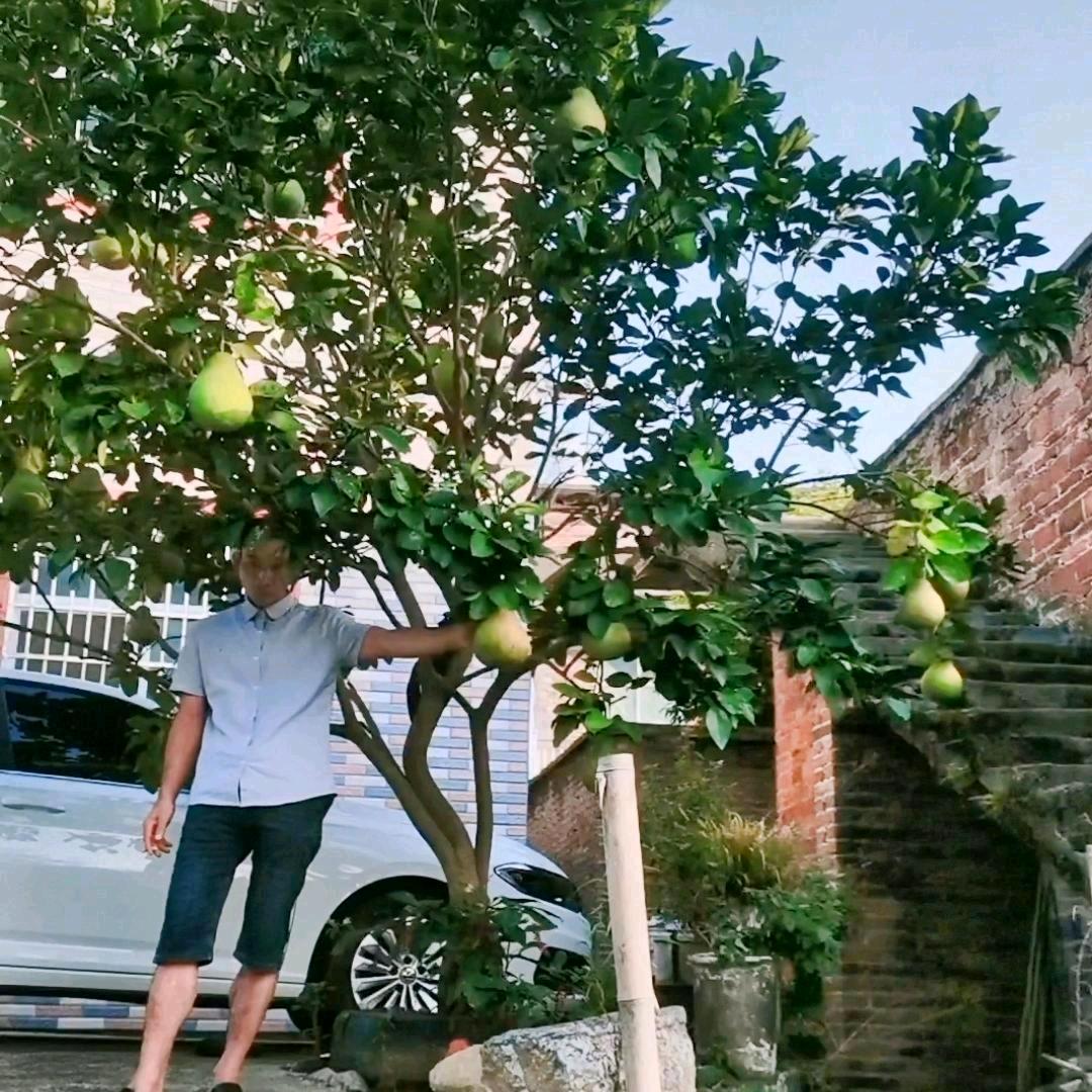 @黄毛（818）～文化传媒