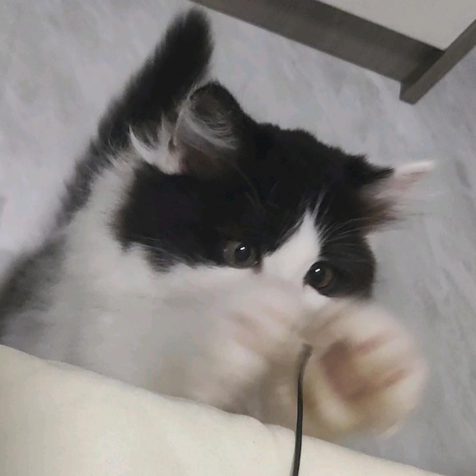 多吃肉肉呀～♪⁽⁽٩( ᐖ )۶⁾⁾