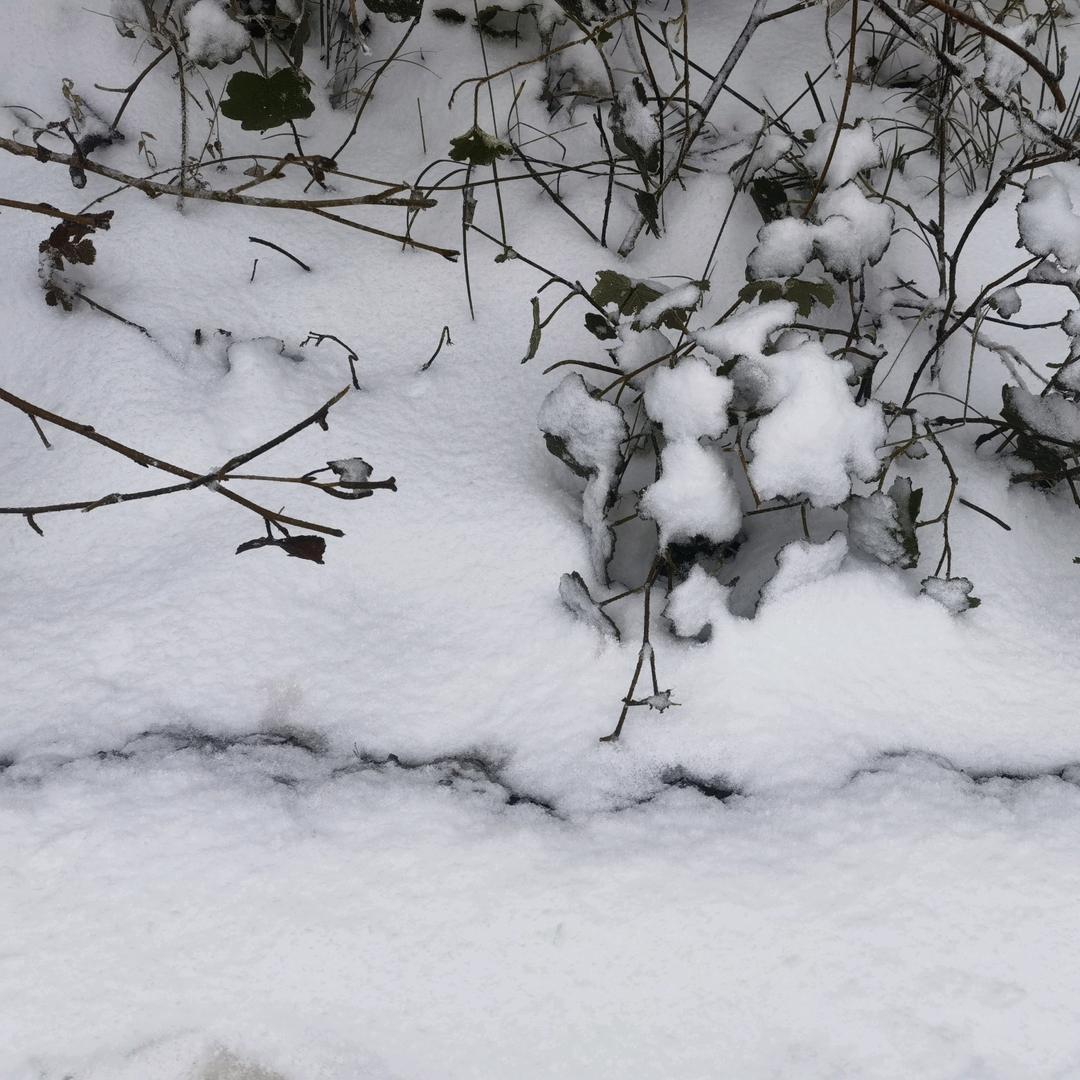 纸短道不尽情长
