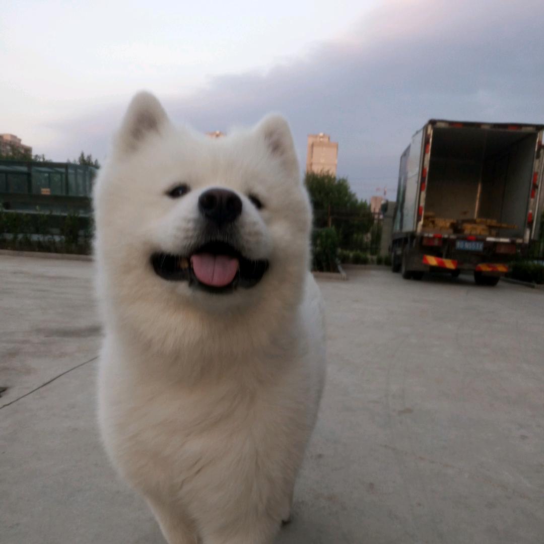 小雨伞
