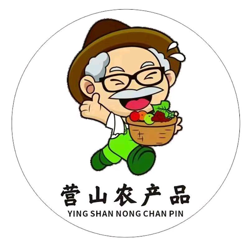 营山农特产品严选店