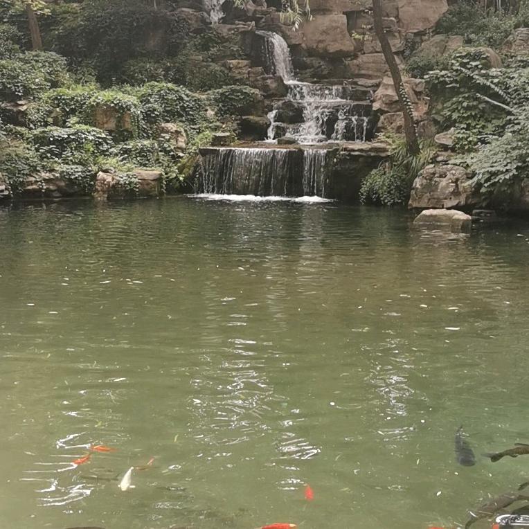 请关注