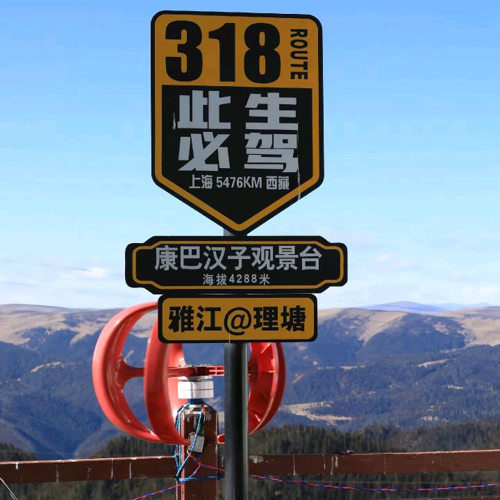 月季批发