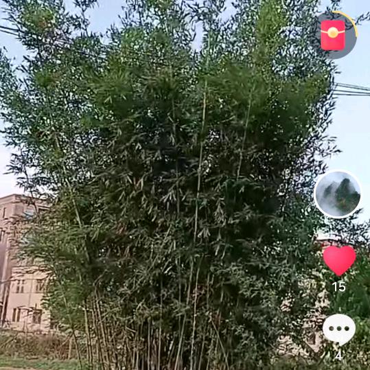 宁静致远