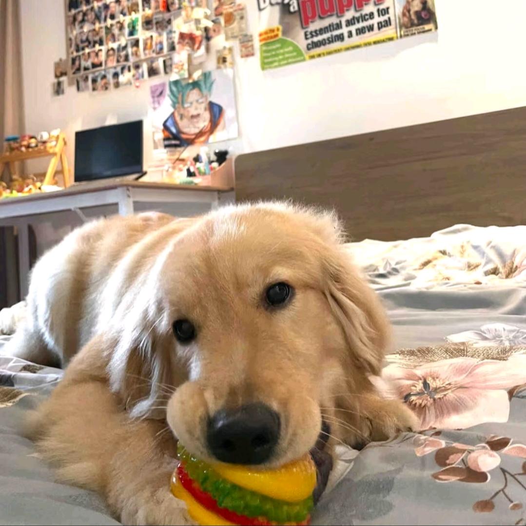 暴躁葱油饼