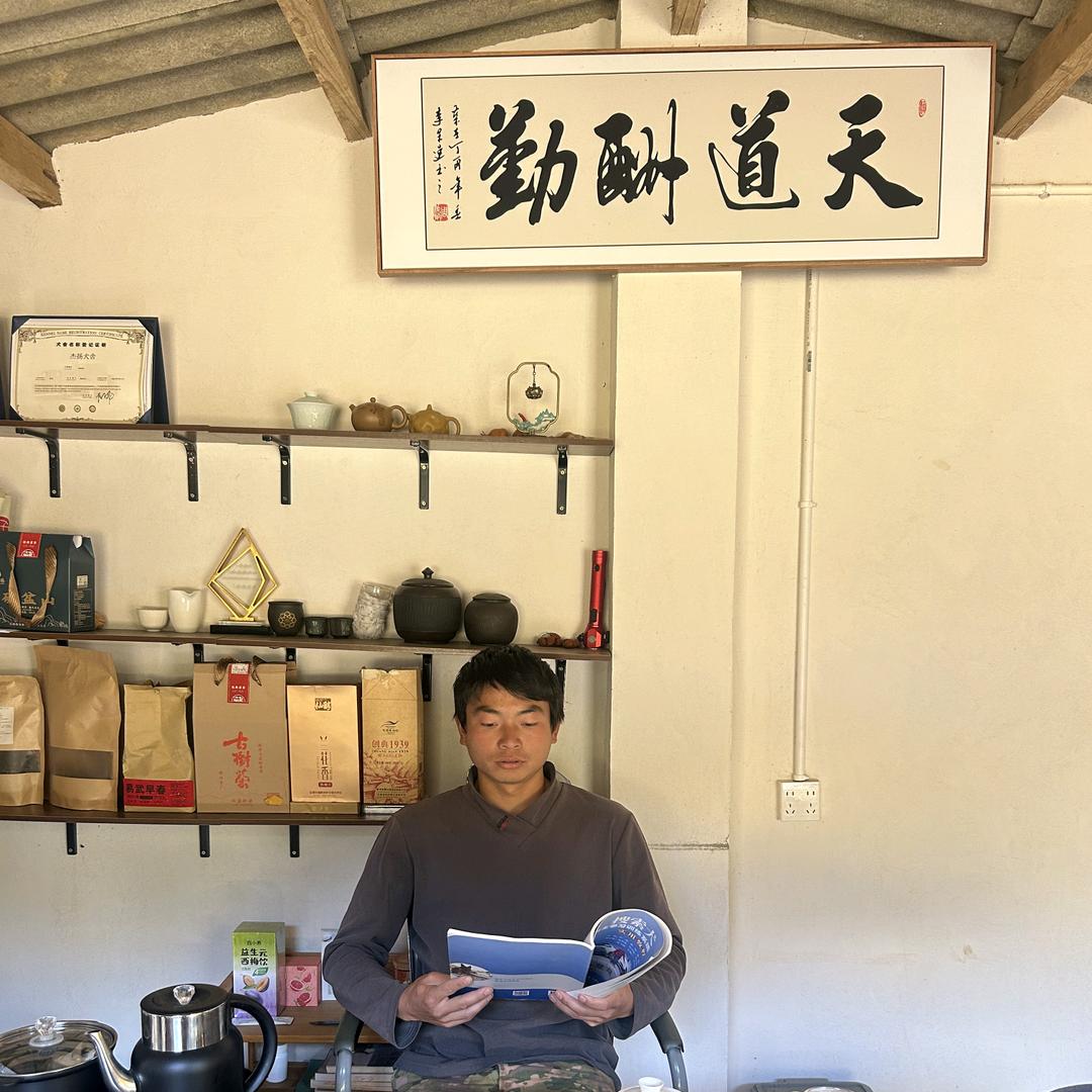 昆明工作犬训练