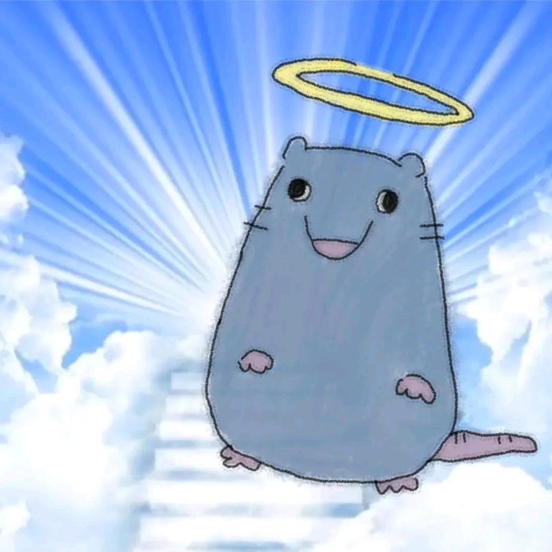 燕归否