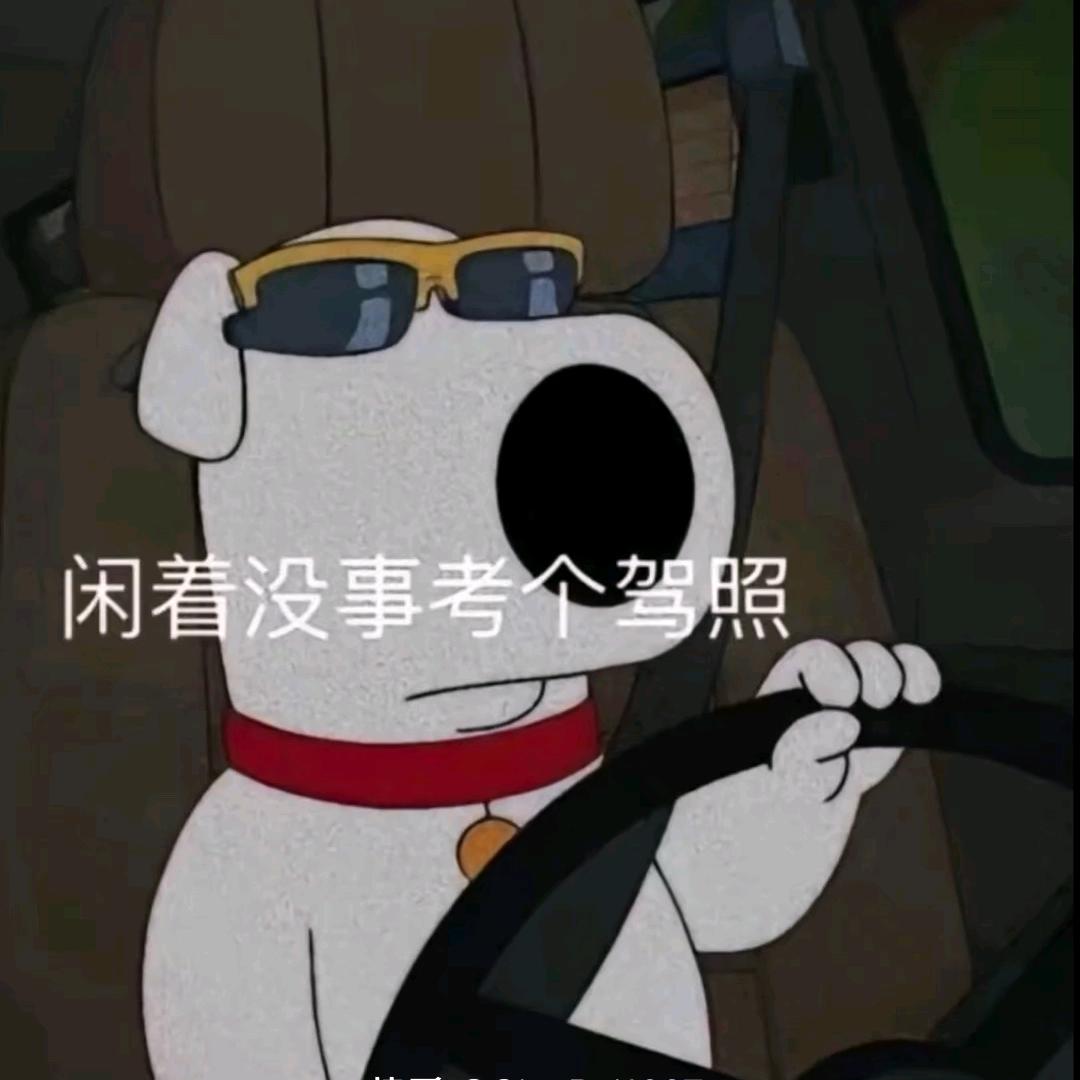 晋州驾校张教练