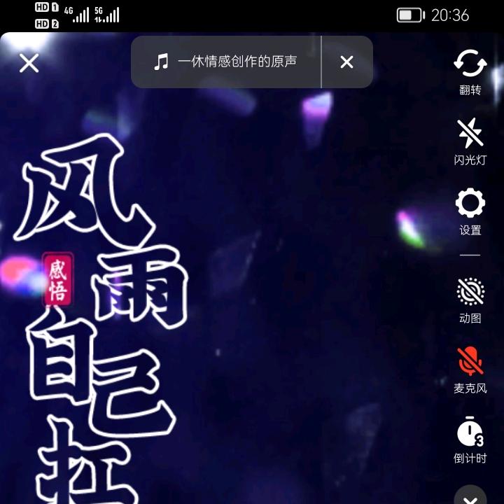 独宠🥰宝