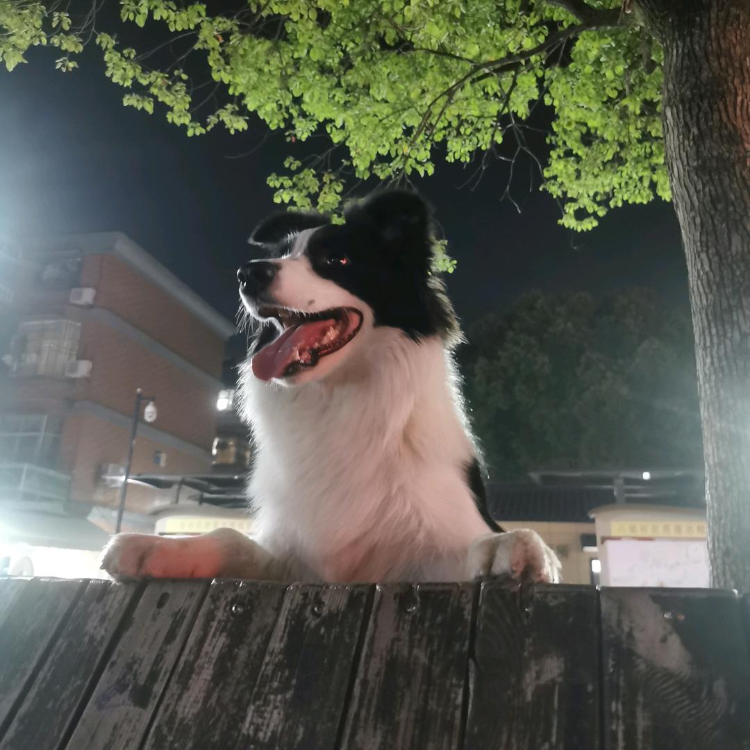 相信未来