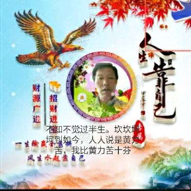 不知不觉过半生