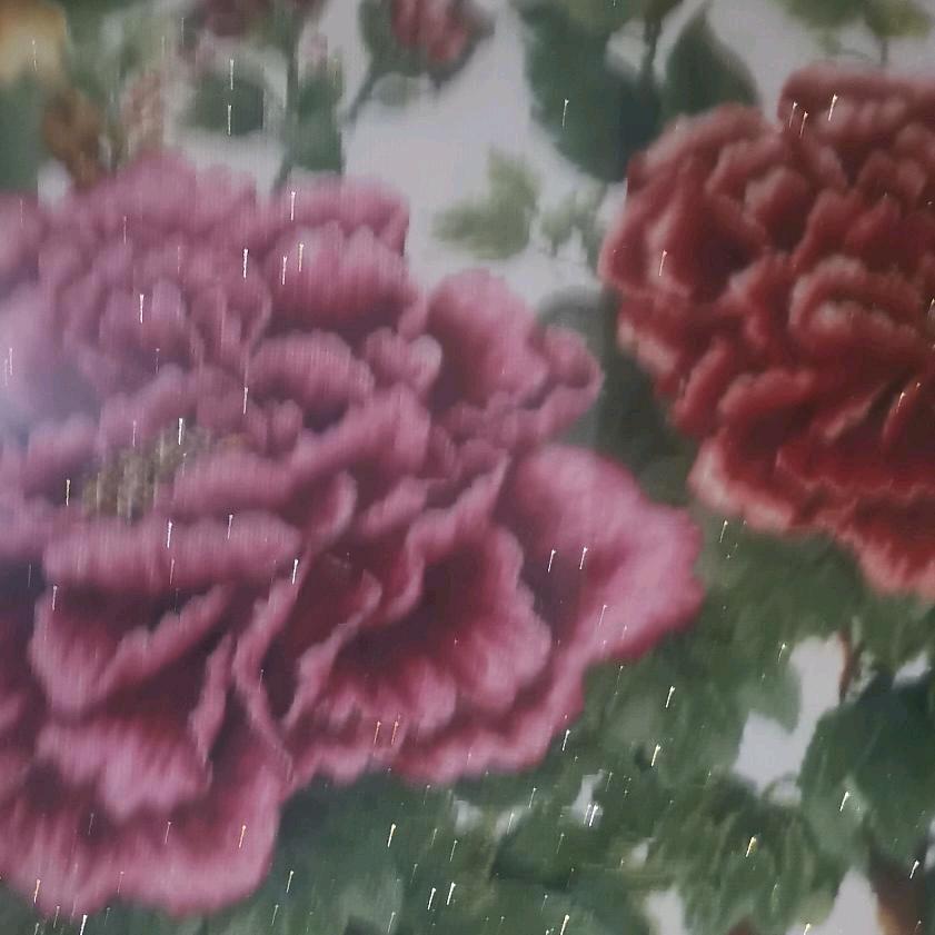 女人爱美天生的